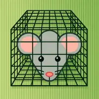 Trap the Mouse